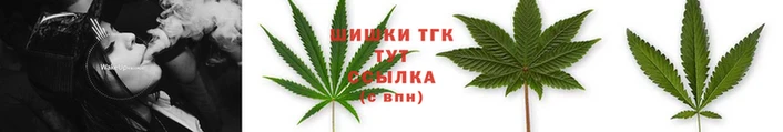шишки Ессентукская
