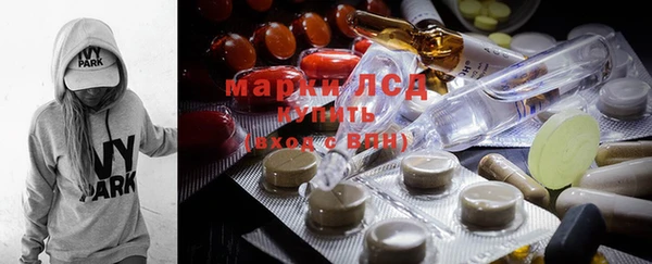 ГАЛЛЮЦИНОГЕННЫЕ ГРИБЫ Медвежьегорск